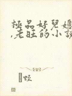 极品好儿媳秦雨,老旺的小说免费阅读全文