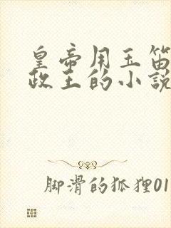 皇帝用玉笛整摄政王的小说