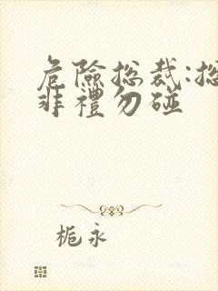 危险总裁:总裁非礼勿碰