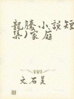 龙腾小说短篇合集)家庭