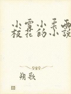 小雪小柔两个大校花的小说封面