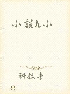 小说h小