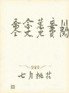 乔念叶妄川正版全文免费阅读最新笔趣阁封面