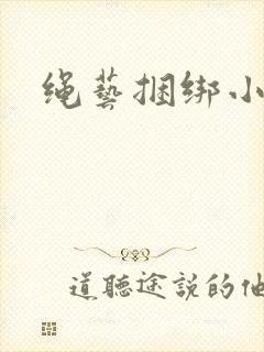 绳艺捆绑小说