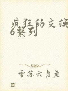 疯狂的交换1一6系列