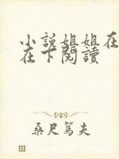 小说姐姐在上我在下阅读封面
