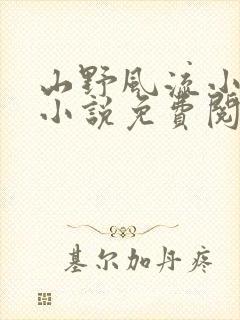 山野风流小神医小说免费阅读封面