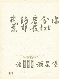 我的房分你一半叶非夜txt