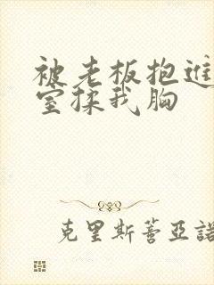 被老板抱进办公室揉我胸