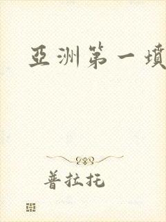 亚洲第一坟
