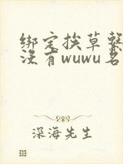 绑定挨草系统后没有wuwu名字