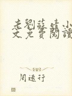 老刘苏晴小说全文免费阅读