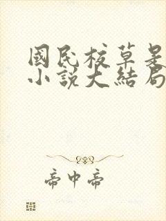 国民校草是女生小说大结局封面