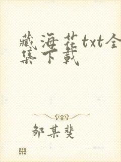 藏海花txt全集下载封面