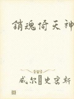 销魂倚天神雕