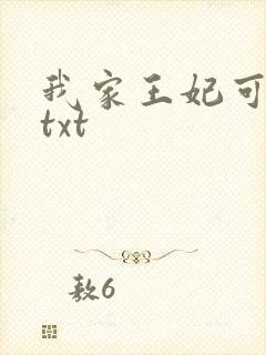 我家王妃可倾国txt