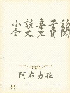 小说妻子的秘密全文免费阅读全文