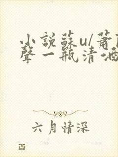 小说苏u/萧陆声一瓶清酒在那里更新