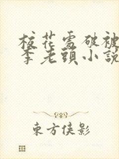 校花处破被灌满李老头小说封面