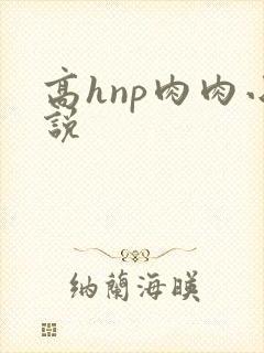 高hnp肉肉小说封面