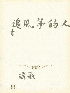 追风筝的人txt