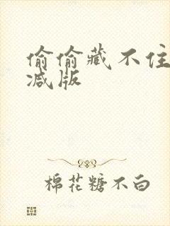 偷偷藏不住无删减版