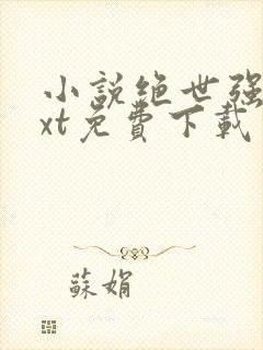 小说绝世强龙txt免费下载