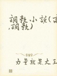 调教小说(高h,调教)