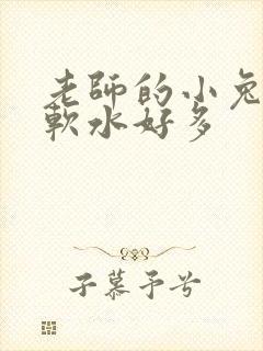老师的小兔子好软水好多封面