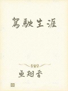 驾驶生涯封面