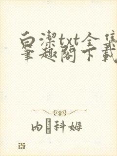 白洁txt全集笔趣阁下载