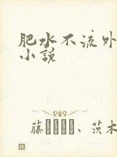 肥水不流外人田小说