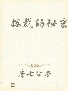 总裁的秘密情人