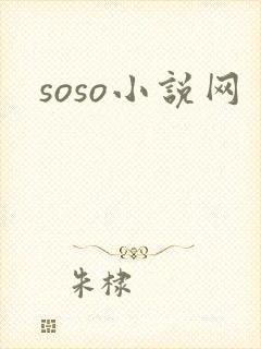 soso小说网封面
