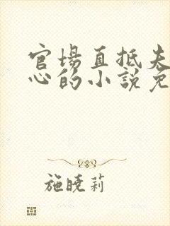 官场直抵夫人花心的小说免费阅读全