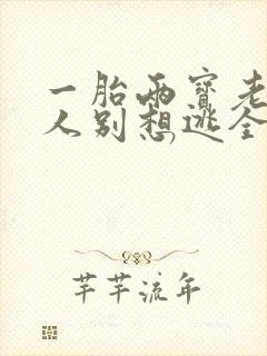 一胎两宝老婆大人别想逃全文免费阅读