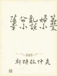 荡公乱妇第51章小说小莹封面