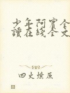 少年阿宾全文阅读在线全文阅读封面