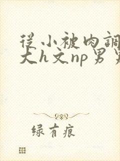 从小被肉调教到大h文np男男封面