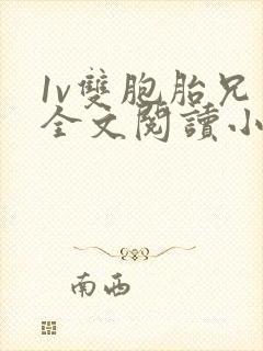 1v双胞胎兄弟全文阅读小说