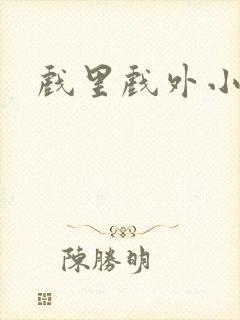 戏里戏外小说