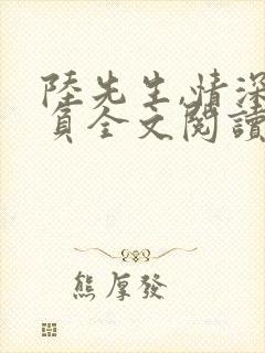 陆先生,情深不负全文阅读免费