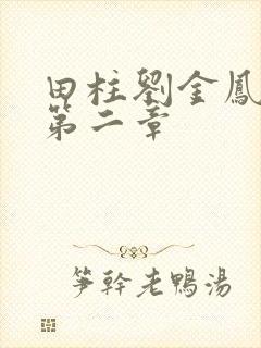 田柱刘金凤小说第二章封面