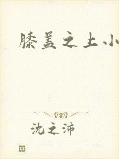 膝盖之上小说