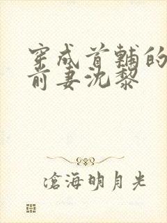 穿成首辅的炮灰前妻沈黎