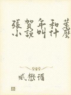 张贺年和叶繁姿小说叫什么名字