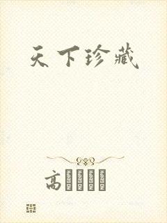 天下珍藏