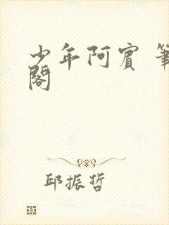 少年阿宾 笔趣阁封面