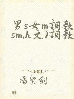 男s女m调教(sm,h文)调教小乳