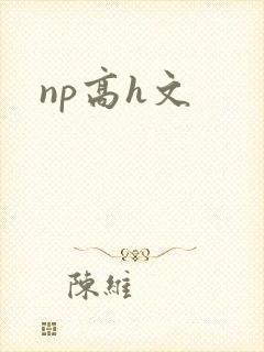 np高h文封面